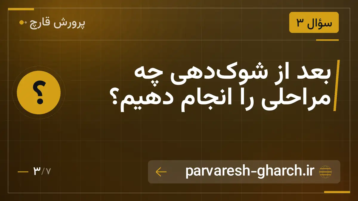 بعد از شوکدهی چه مراحلی را انجام دهیم؟
