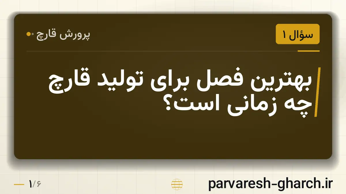 بهترین فصل برای تولید قارچ چه زمانی است؟