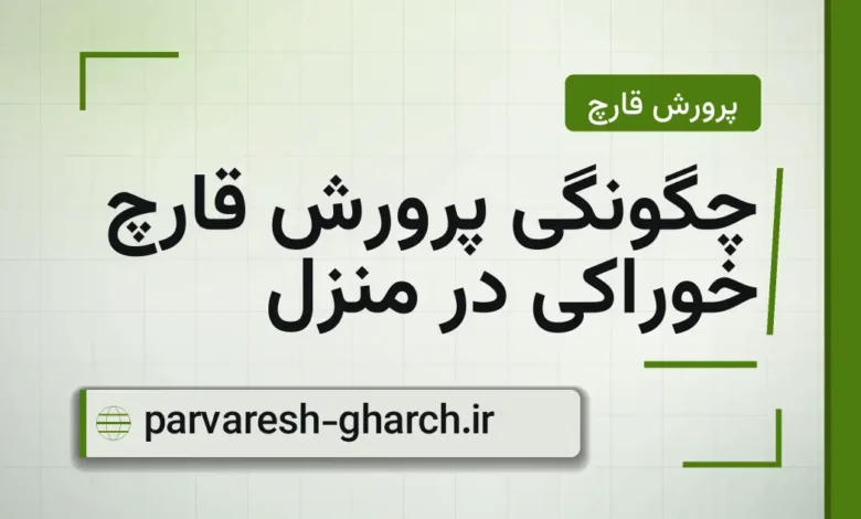 چگونگی پرورش قارچ خوراکی در منزل