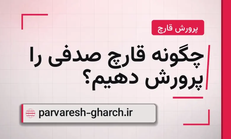 چگونه قارچ صدفی را پرورش دهیم؟