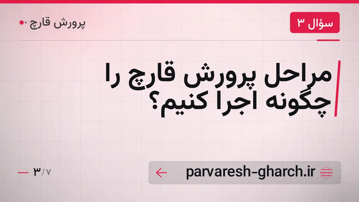 مراحل پرورش قارچ را چگونه اجرا کنیم؟