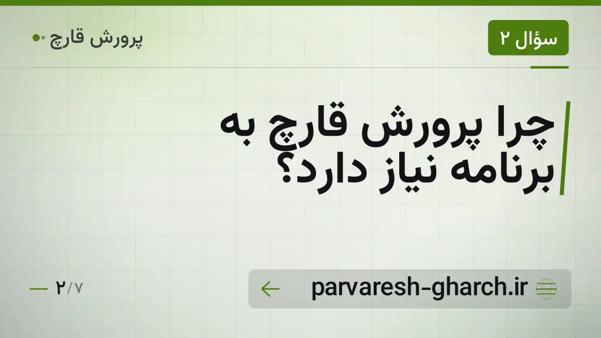 چرا پرورش قارچ به برنامه نیاز دارد؟