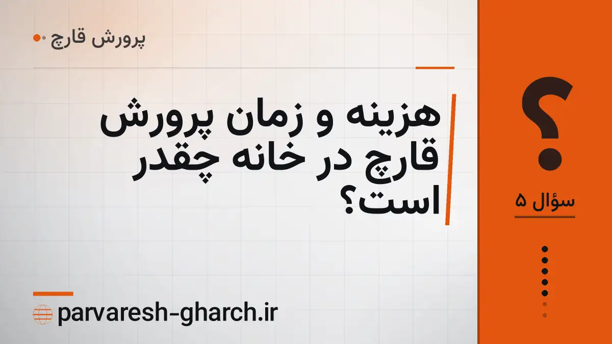 هزینه و زمان پرورش قارچ در خانه چقدر است؟