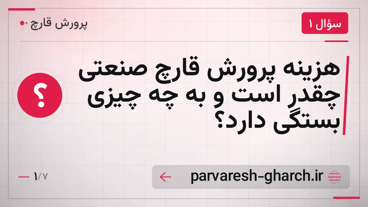 هزینه پرورش قارچ صنعتی چقدر است و به چه چیزی بستگی دارد؟