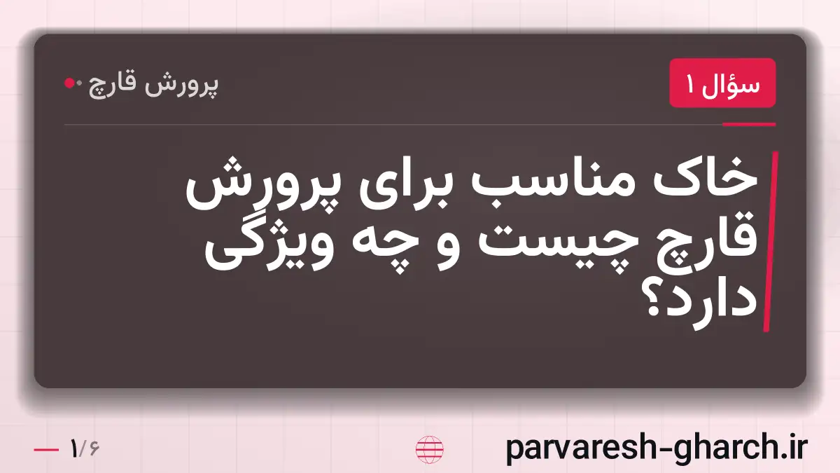 خاک مناسب برای پرورش قارچ چیست و چه ویژگی دارد؟