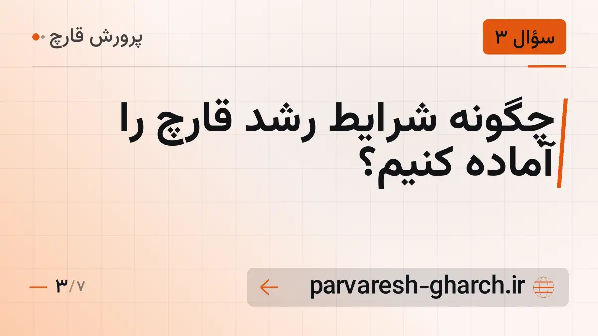 چگونه شرایط رشد قارچ را آماده کنیم؟