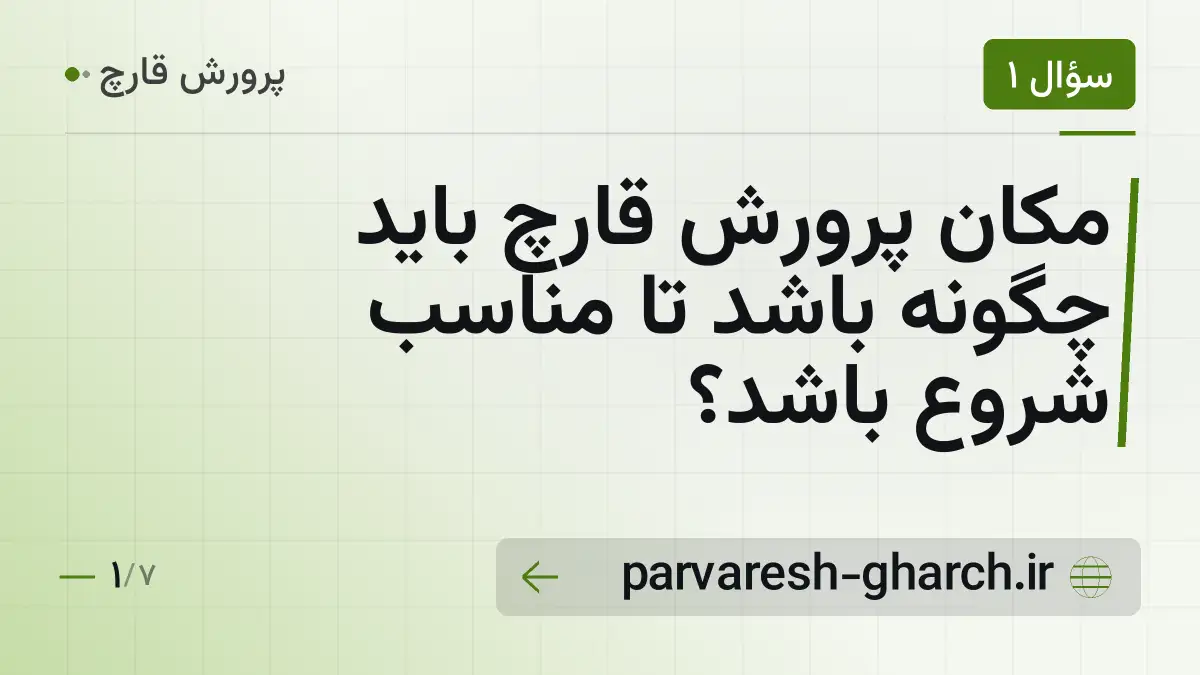 مکان پرورش قارچ باید چگونه باشد تا مناسب شروع باشد؟