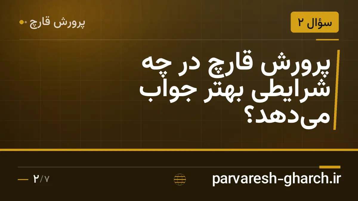 پرورش قارچ در چه شرایطی بهتر جواب می‌دهد؟