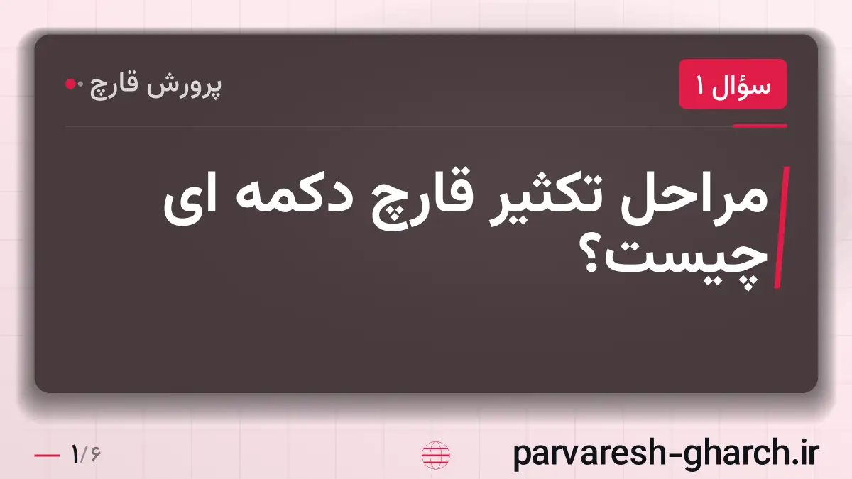 مراحل تکثیر قارچ دکمه ای چیست؟
