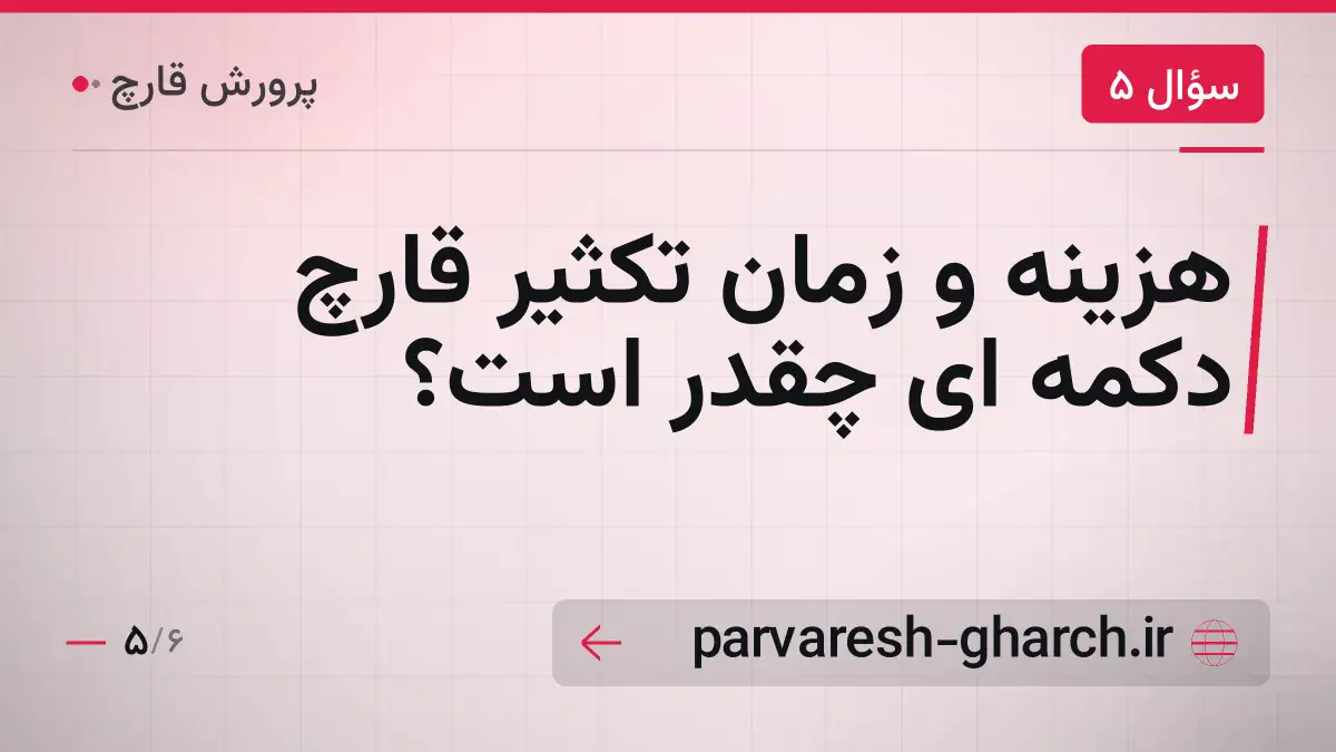 هزینه و زمان تکثیر قارچ دکمه ای چقدر است؟