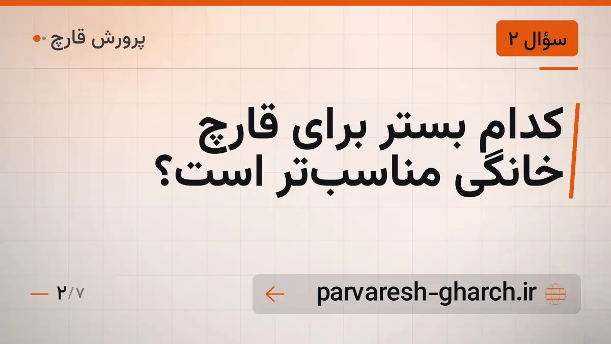 کدام بستر برای قارچ خانگی مناسبتر است؟
