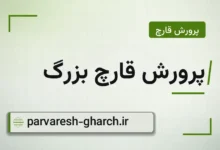 پرورش قارچ بزرگ