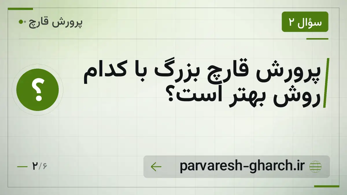 پرورش قارچ بزرگ با کدام روش بهتر است؟