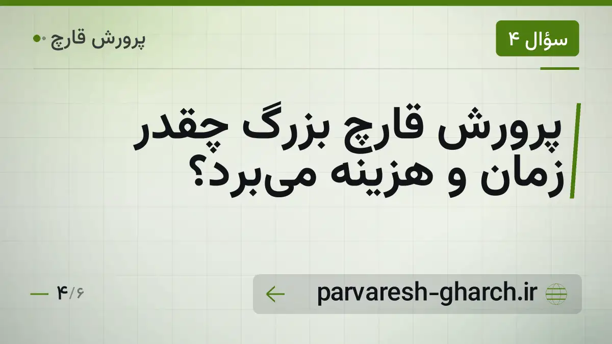 پرورش قارچ بزرگ چقدر زمان و هزینه میبرد؟