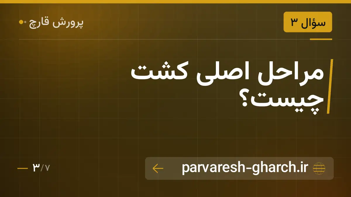 مراحل اصلی کشت چیست؟