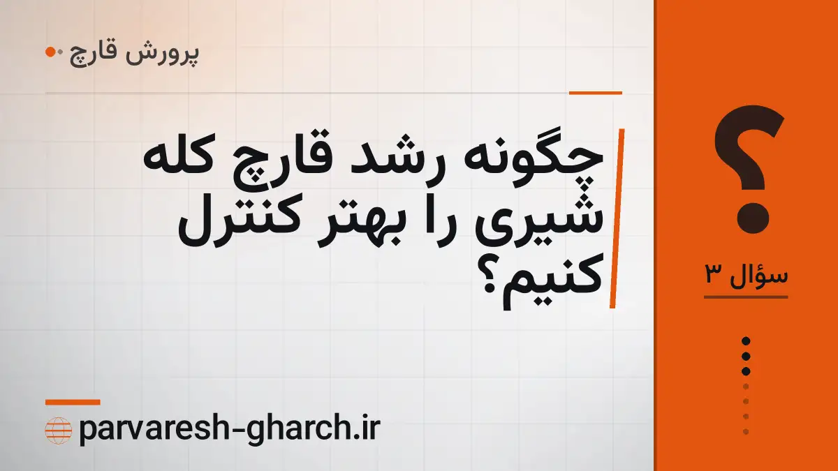 چگونه رشد قارچ کله شیری را بهتر کنترل کنیم؟