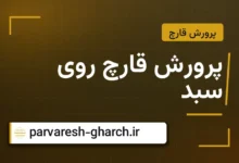 پرورش قارچ روی سبد